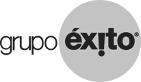 Grupo Éxito